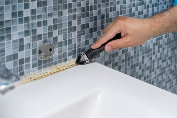 Best Certified Mold Removal  in Manheim, PA